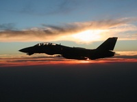 F-14D Tomcat-39